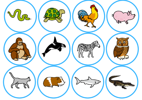 Descripción de animales