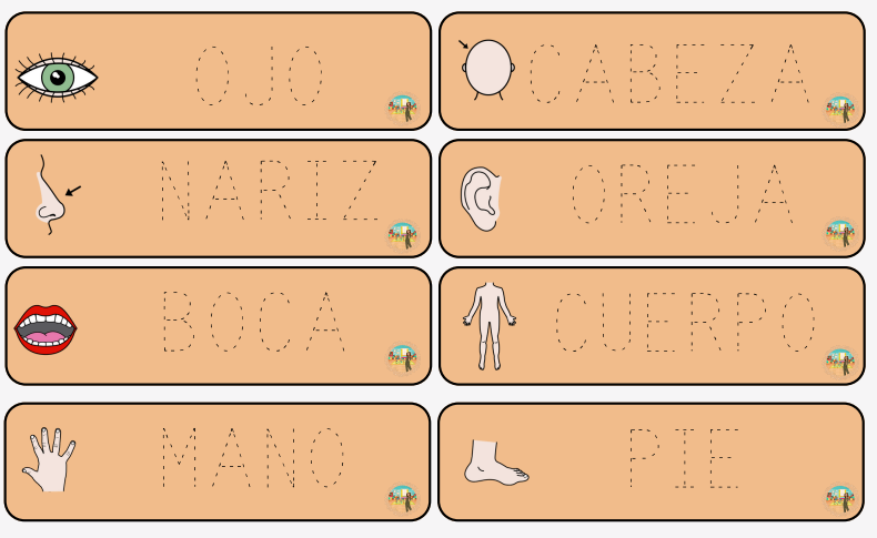 Escritura de palabras partes del cuerpo
